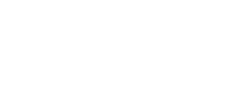 Larsen Datasupport